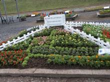 �ۈ牀�E�c�t���̉Ԓd