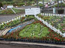 �e�A��������̉Ԓd��