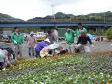 �ԂƗ΂̕���̊F�l�̐A������