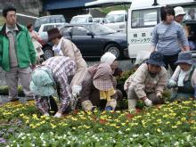 �ԂƗ΂̕���̊F�l�̐A������