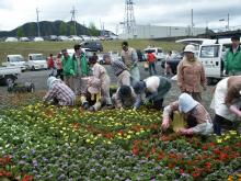 �ԂƗ΂̕���̊F�l�̐A������