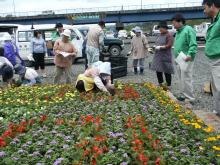 �ԂƗ΂̕���̊F�l�̐A������