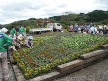 �ԂƗ΂̕���̊F�l�̐A������