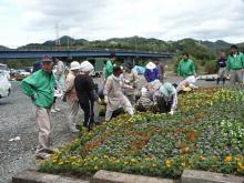 �ԂƗ΂̕���̊F�l�̐A������