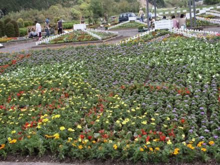 ���s����c�̃e�|�}�Ԓd