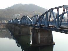 �R�ǐ�Ɏʂ鈻���勴