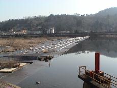 �p���̐���ƈ䉁