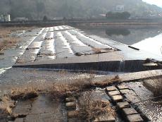 �䉁��^�����猩��