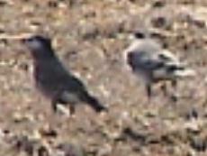 �k���ꂽ���ɏ������Q�����Ċy������