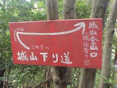 ����������ē���T�����J�Ɍ������̂݁H�����l�ɓd�b�ŃR�|�X��q�˂�B