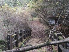 �����ŗV��ł����q���B�ɓo�R����q�˂����m��Ȃ��Ƃ̂��ƁB���؏��w�Z�̗��Ƌ����Ă��ꂽ�B