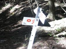 �֓d�̓S���̕W��