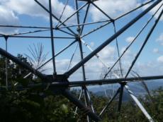 �S���̌������ɂ��S����������A���ѓS��