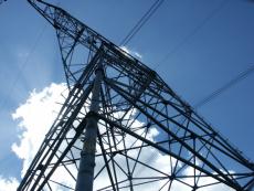 ������Ɩڂ���肻���Ȋ�����