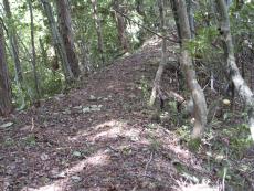 �s���̗Ő��̎R���͍L���ǂ�����ꂳ��Ă���