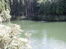 ���蓹���ԈႦ�Ēr�̂���Ƃ���ɉ����A����𑗓d�������藼���̎R�ɓS����������