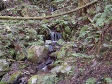 ��͂������łǂ��ł��~�����B