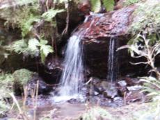 ���낢��ȑꂪ�ӂ񂾂�Ɍ����B