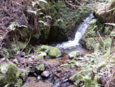 ���������ɂ͉����k�J�̎x�������ꂫ�ꂢ�B