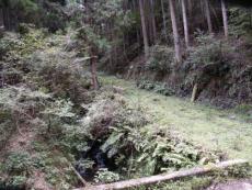 �����͑ہA���A��؁A�΁A����A�|�؂ōr�����A�����ɂ͎x��͂Ȃ��B