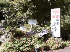 ���܂��A�ɂ��܂��A�����@���ނ��B�݂��ނ�Ƃ����ׂĂ���B