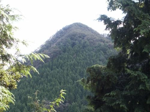 �����499m�W���_����̎B�e�B���𕚂����`�����ꂢ�B�d�g���̎R�ɂ́A���R�A�����R�̗��L�������������A�ĊO�d�g���̎R�̕��������R�ł́H