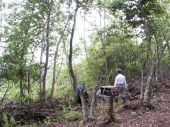 �l���R����