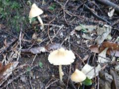 �����ݏꏭ����o�R���̍��E