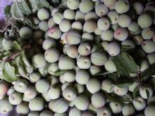 �S���łT�L���O�����������n