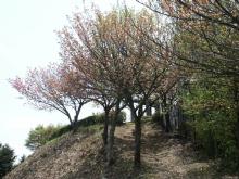 ����O�̍�����