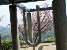 ���a�̏��i�����j