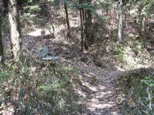 �x���`���u����Ă���Ƃ��낪�A�l���R�o�R���B����p�ӂ���Ă���