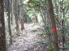 ���|�g�ɂ͐Ԃ��e�|�v��������ǂ�������B