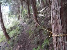 �}��ɂ̓��|�v�������Ă���B