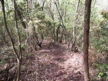 ���㒼�O�̋}��ɂ̓��|�v��