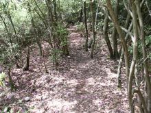 �R���̗���������