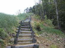 �V�܂œ͂����H�}�ȊK�i