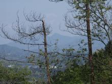 ���؂̊Ԃ�����R��]��