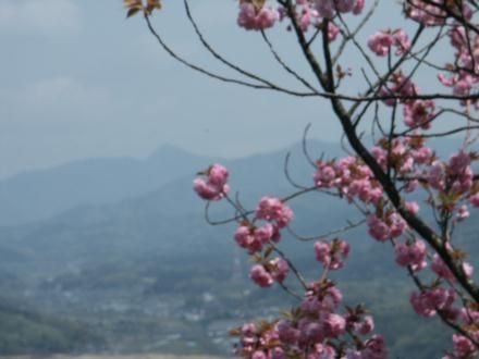 ���R�����]