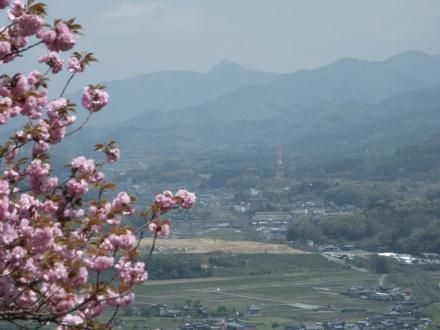 �{�^������O�i�ɖ��R�A��O���@�P��B