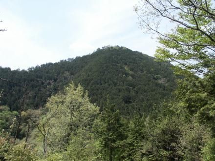 ���R�}�₩�猩��A�l���R�i����͌y���Q�������z���j