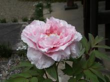 ���@����