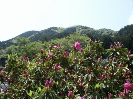 �l���R�i��Ԑ�������j