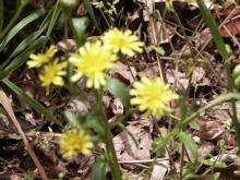 �쑐������