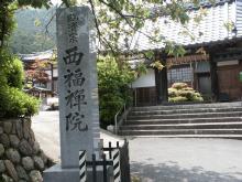 �����T�@