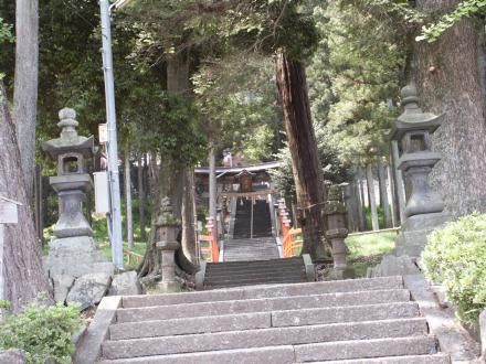 ��{�_�Ђ̎Q��