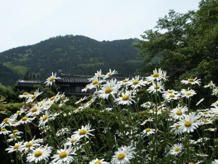 �_�{������O����̎l���R