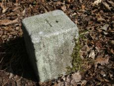 �l���R�̎O�p�_�W��